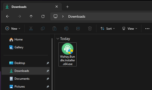 Instalador de Windows